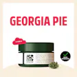 Pre-Pack Georgia Pie