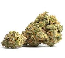 Product: Grease Bucket | Six Labs