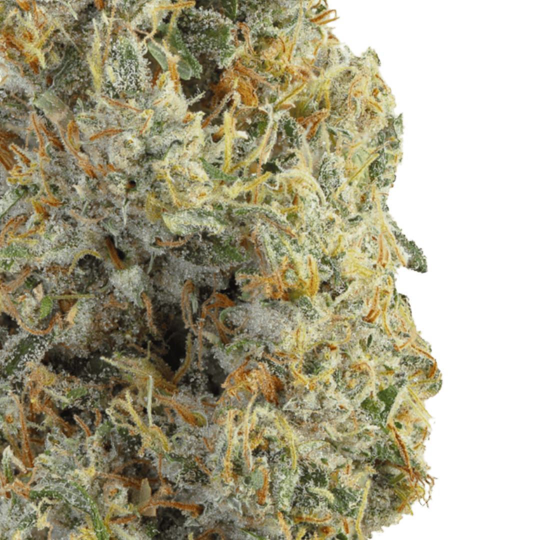 Native Sun Sour TK | Flower | 3.5g - Native Sun Cannabis Cannabis