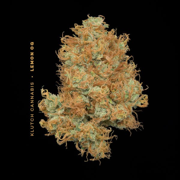 Sour Blue Diesel 2.83g Flower | Buckeye |