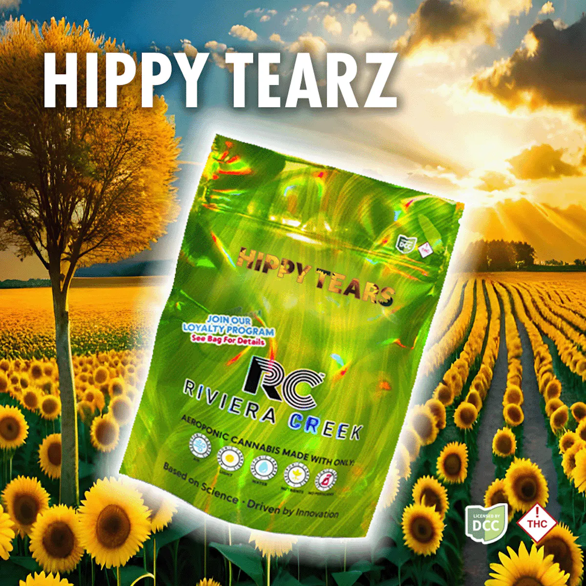 Hippy Tearz 2.83g Flower | Riviera Creek |