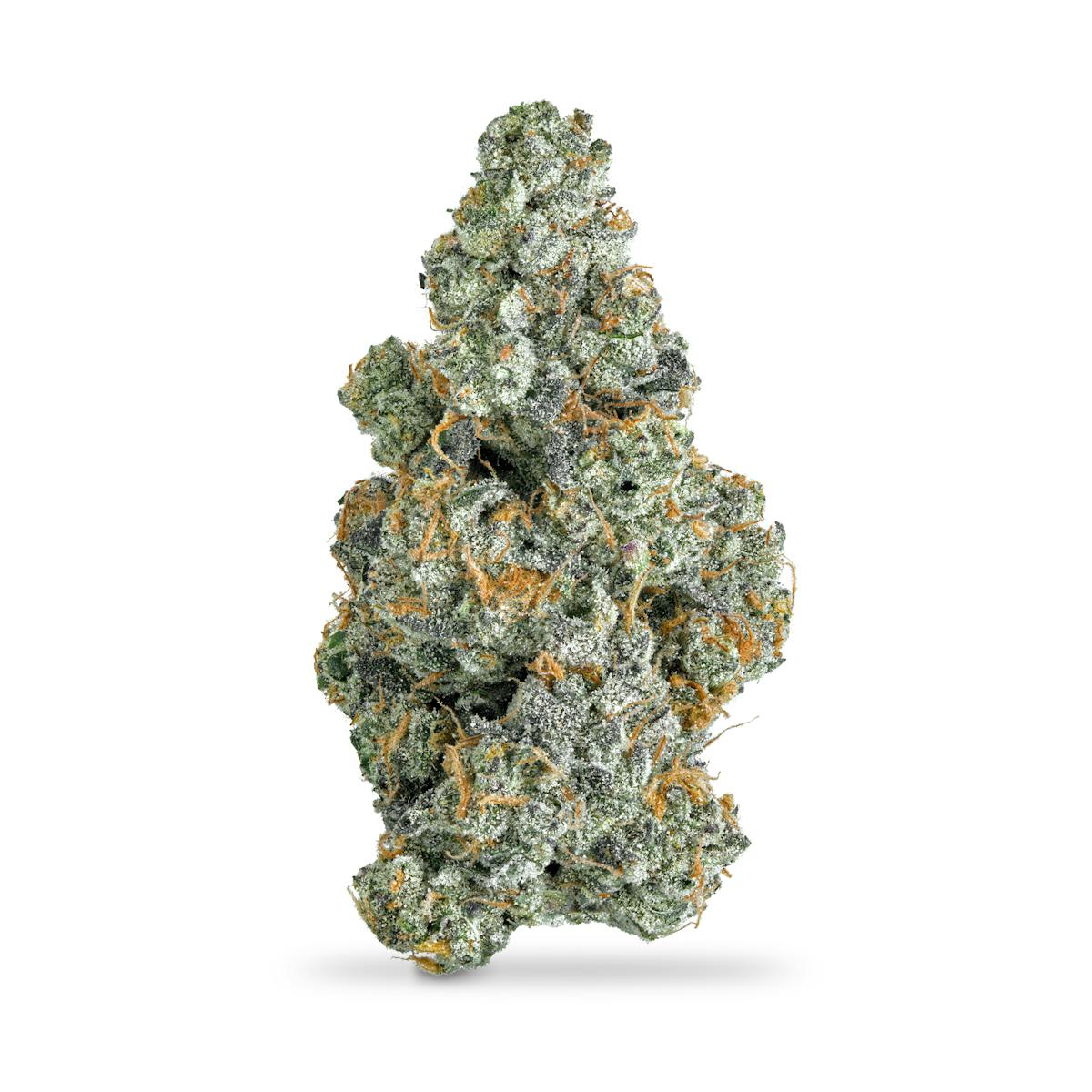 Photo of Blue Slushie #5