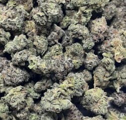 Product: EXOTIC GENETIX | PLANET OF THE GRAPES | SMALLS | BULK | HYBRID