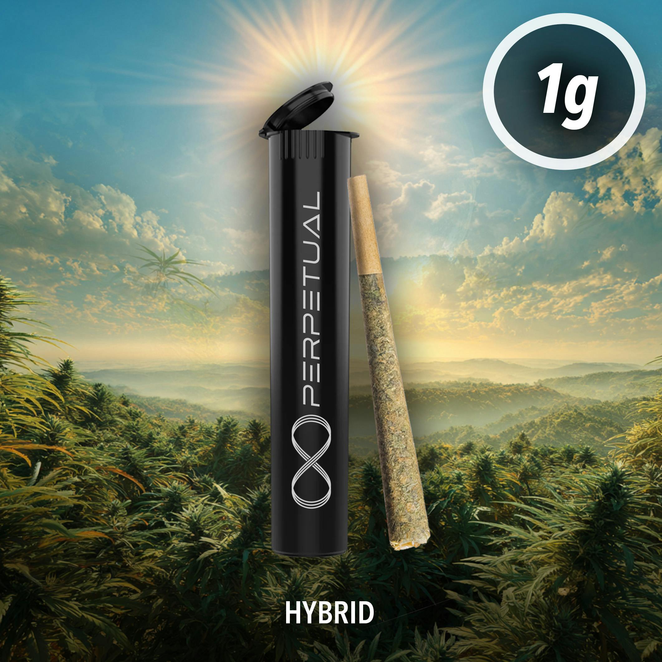 perpetual disposable vape review Perpetual Rare Candy Disposable 1g Vaporizers