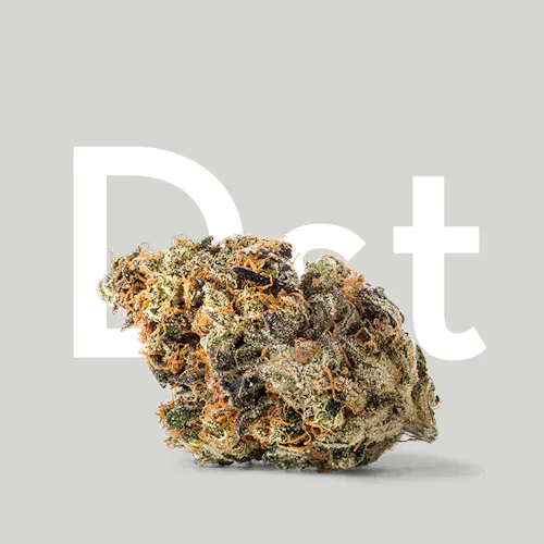 Dark Star Tangie 3.5g – Curio (Pre-Pack)-active
