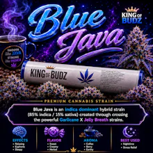 KOB - 1g Preroll - Blue Java - PRE_ROLLS by King Of Budz at King of Budz
