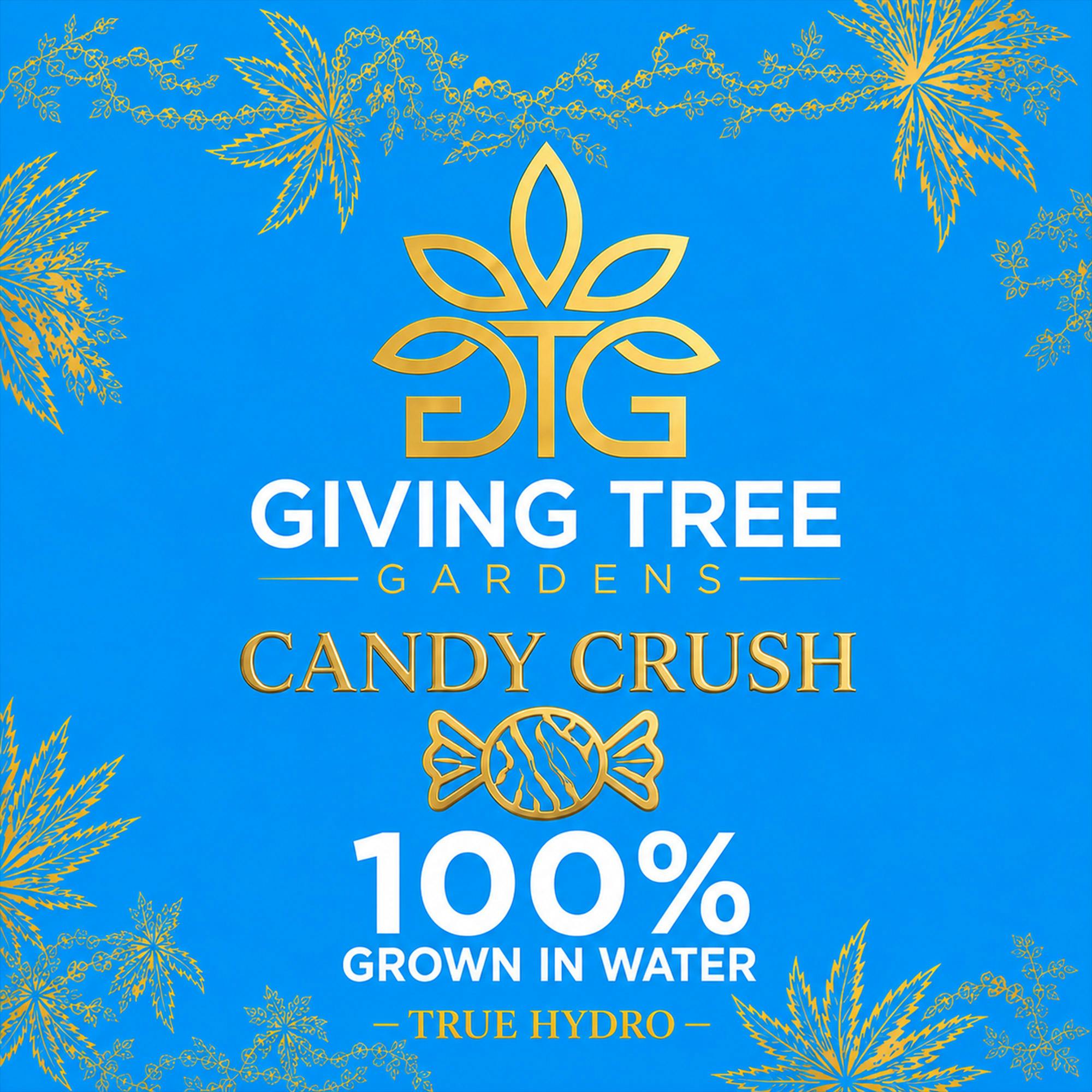 DELI - Giving Tree - Candy Crush
