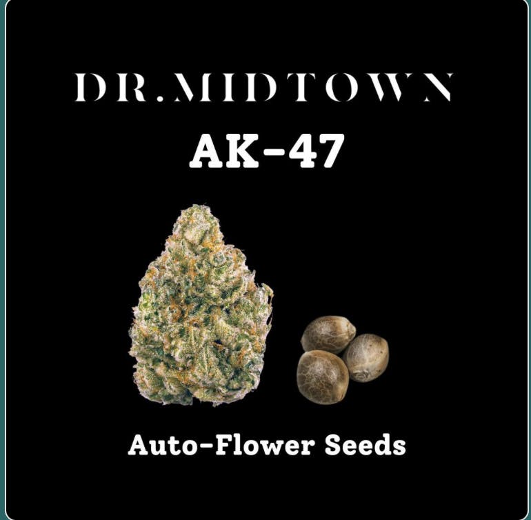 Dr.Midtown | AK47 | AUTO FLOWER SEEDS