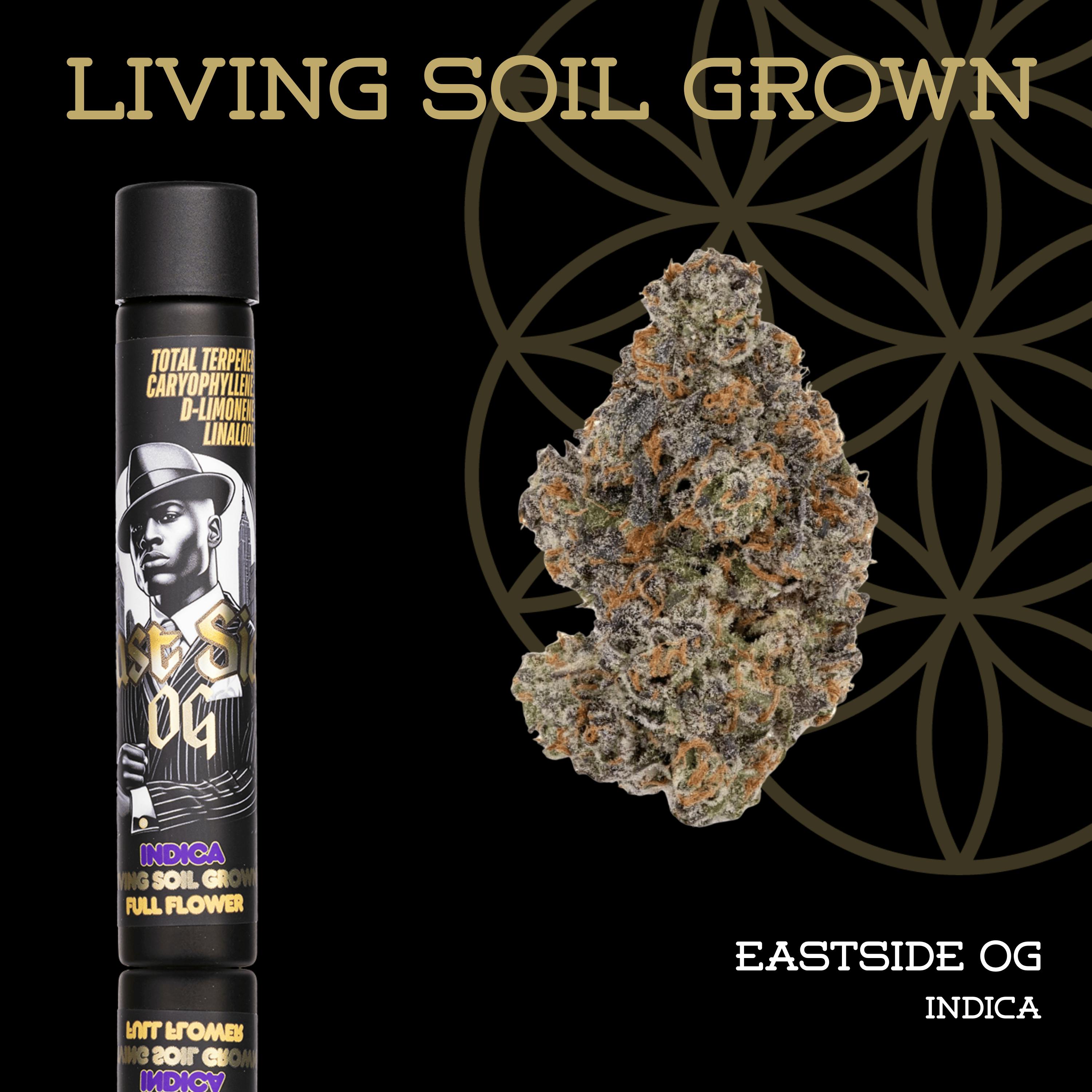 Product: Flower of Life | Pre-Roll 5-Pack | 2.5g | Living Soil - Eastside OG