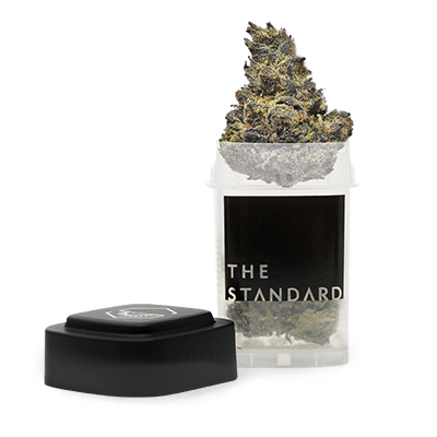 Melon Sorbet Whole Flower