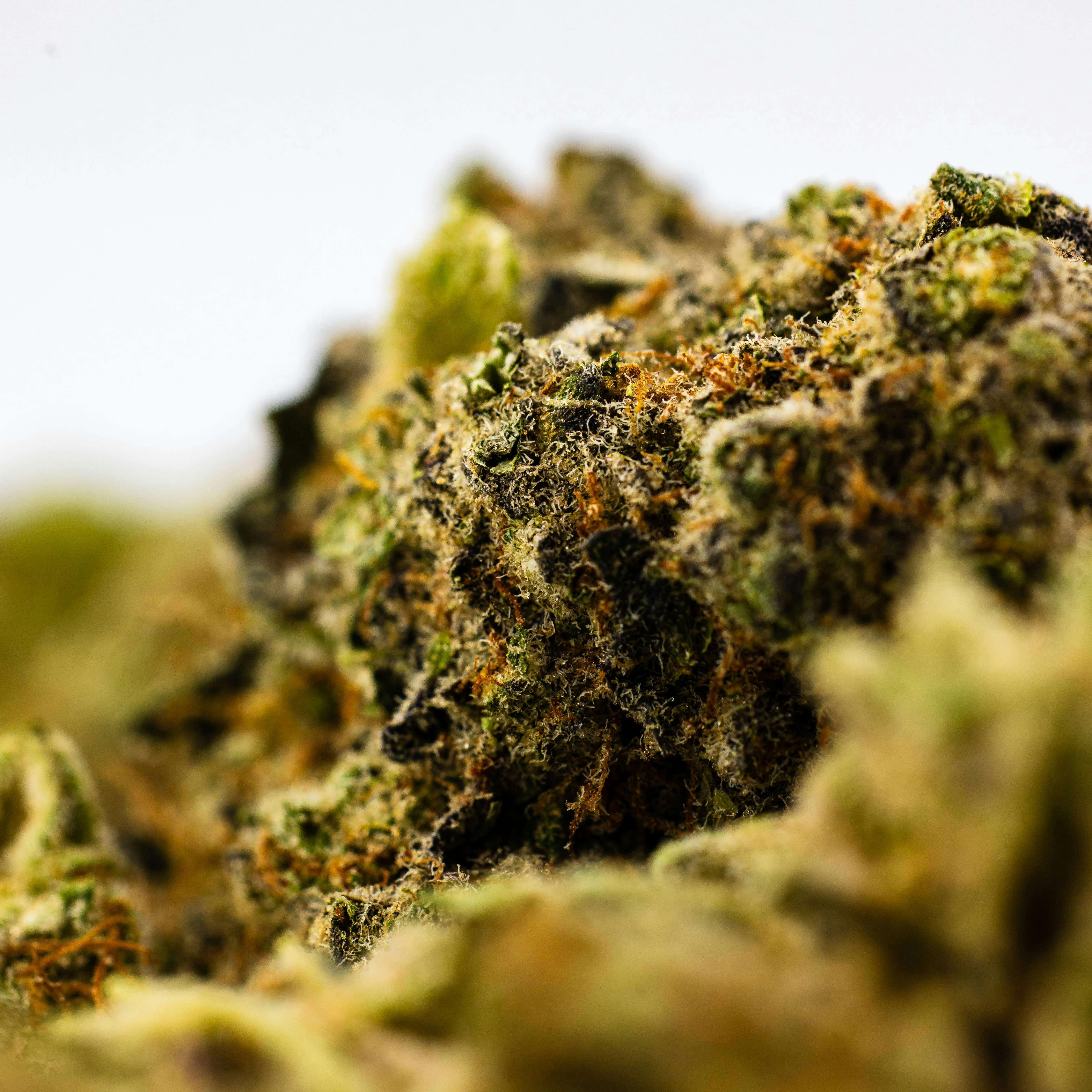 Buy Dank By Definition. MAUI WOWIE (14 GRAMS) Online - Strain