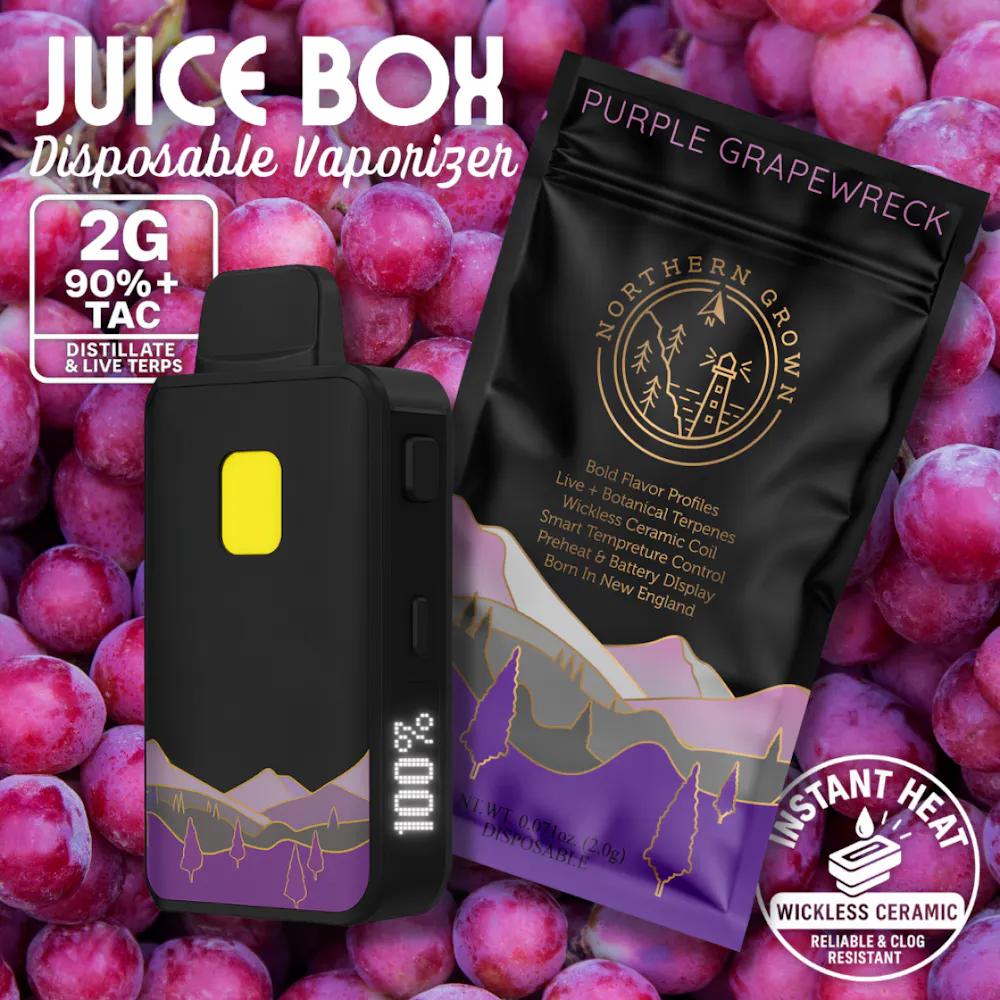 Northern Grown Purple Grapewreck (I) Juice Box Ceramic Disposable ...