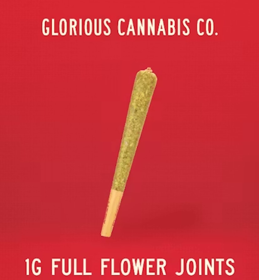 Glorious 1g Preroll Lost Zailor