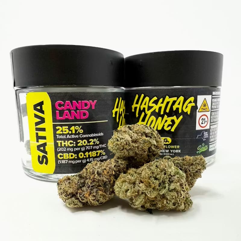 Hashtag Honey | Candyland | 3.5g