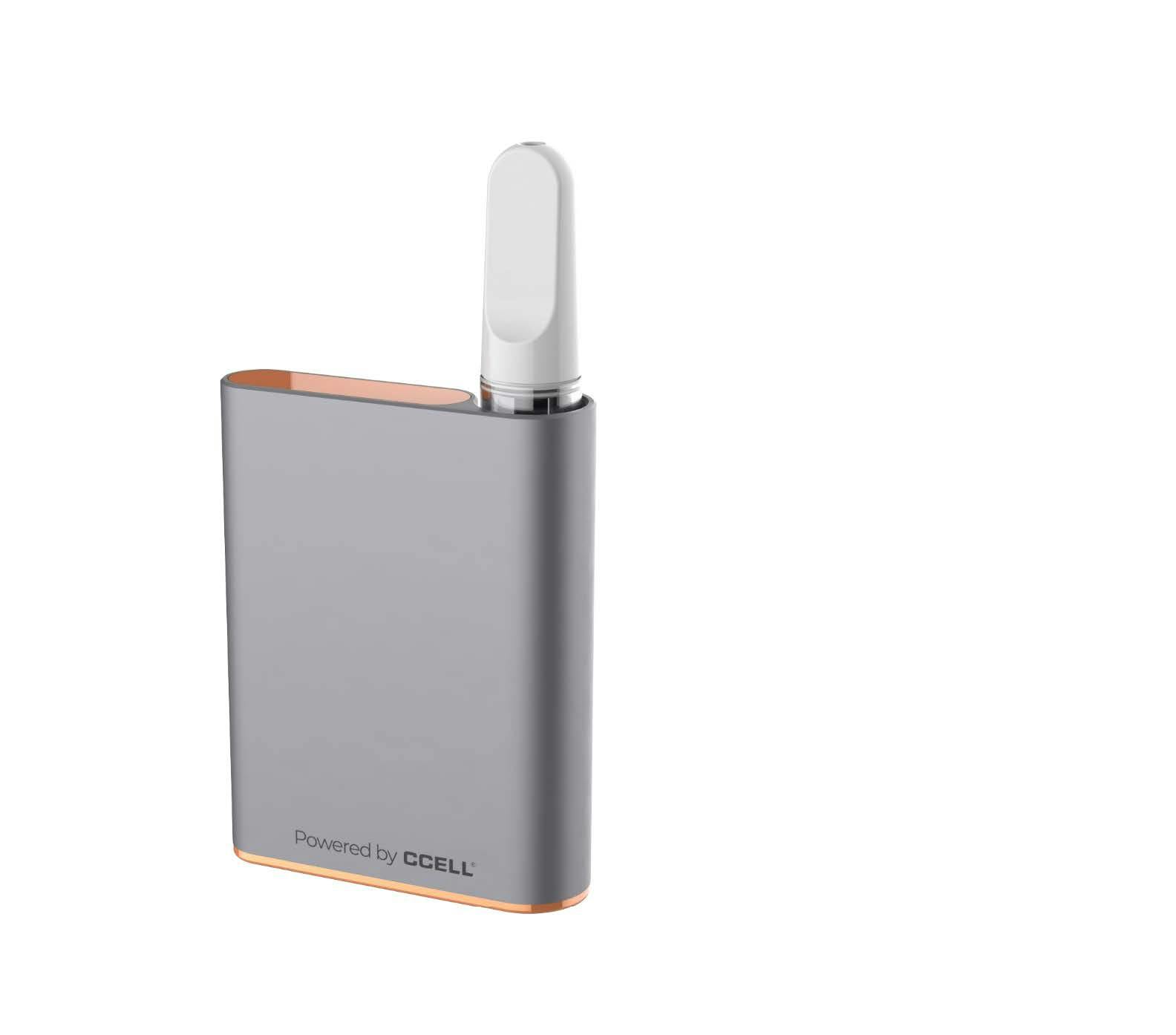 Palm Battery with Insa logo Grey
