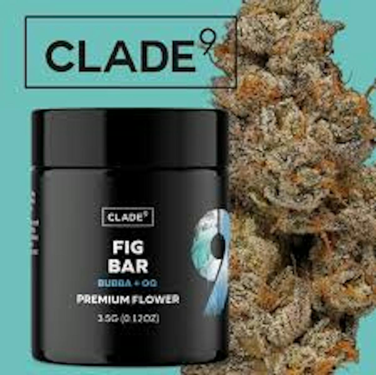 Photo of Clade 9 l Fig Bar l
