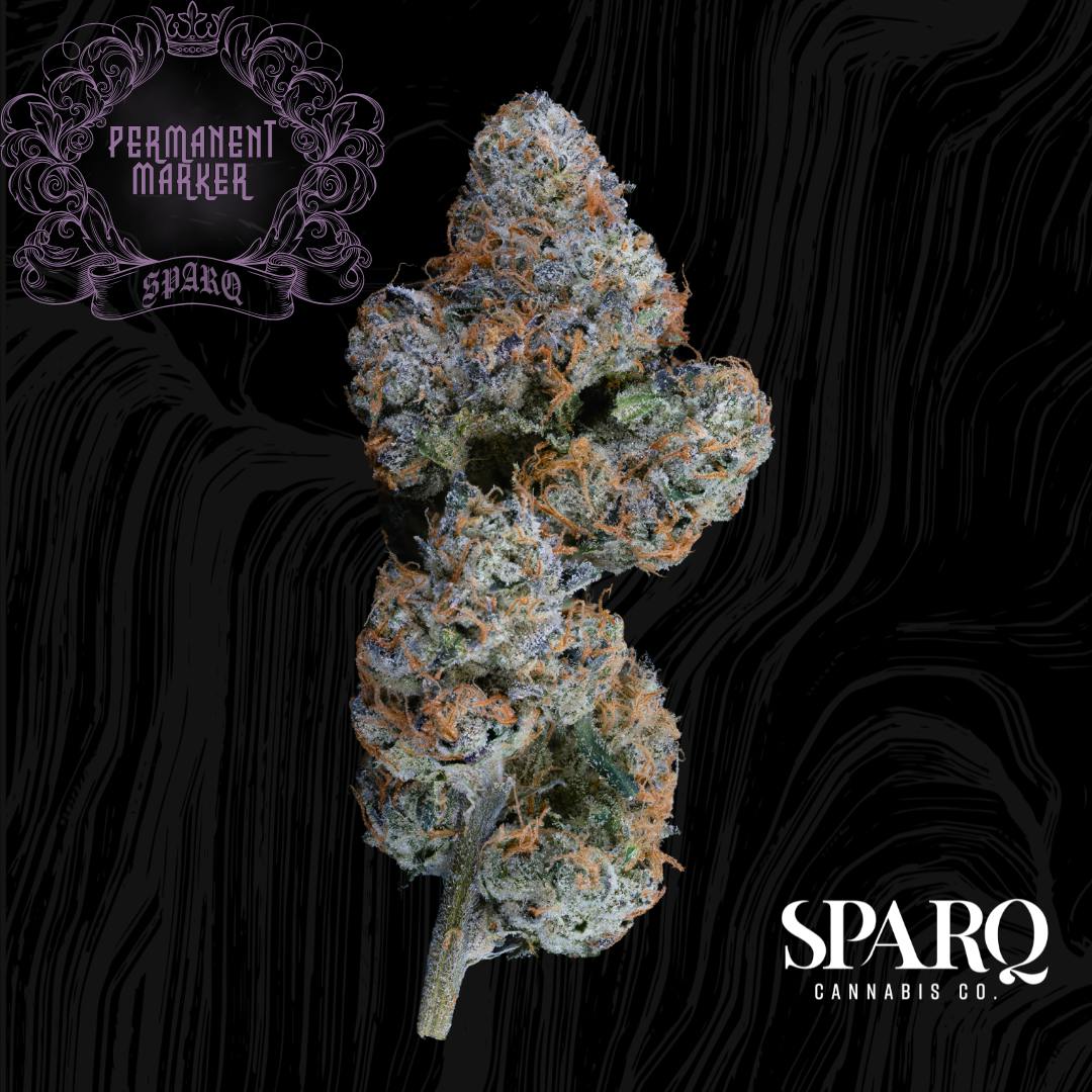 Product Permanent Marker