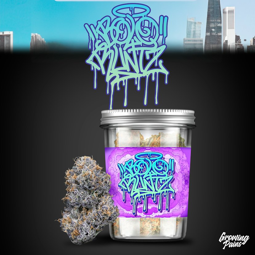 Growing Pains - Bolo Runtz Jar