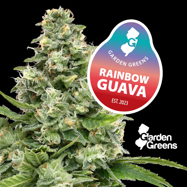 Garden Greens Mixed Nugs Rainbow Guava 14g (sativa hybrid, flower)