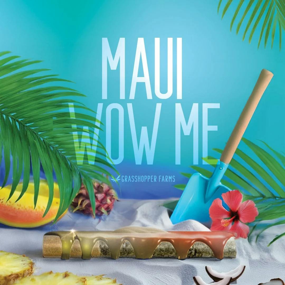 Grasshopper Farms | Maui Wow Me | Infused Pre-rolls Tin | 1g x 5 | Sativa
