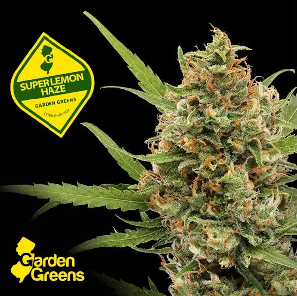 専用【 CRD2本】Super Lemon Haze Super Lemon Haze 6 Grams CB9A + THC-A Melted Diamonds + THC