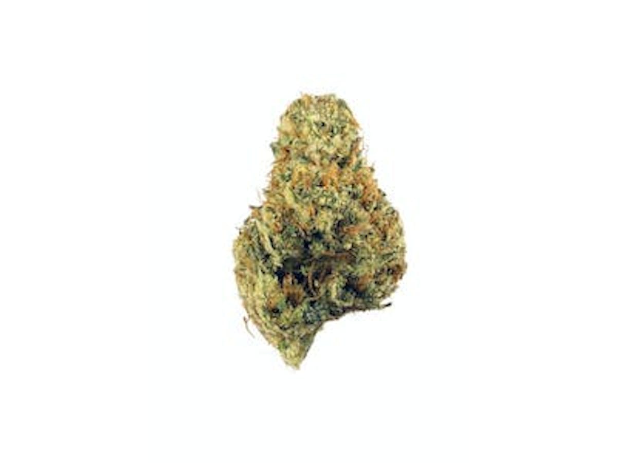 Image of Dutch Treat x Cherry Pie | 1g Flower
