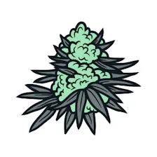 Flower category image