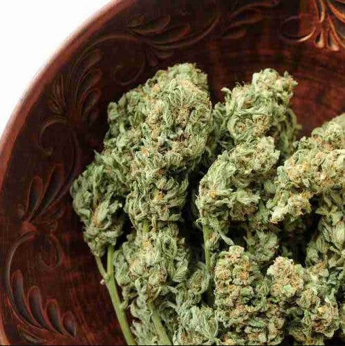 Product: Base Camp | Big Bud | Flower
