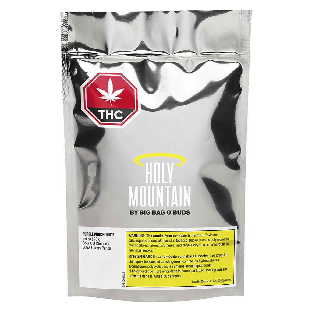 Holy mountain - purple punch-out!!