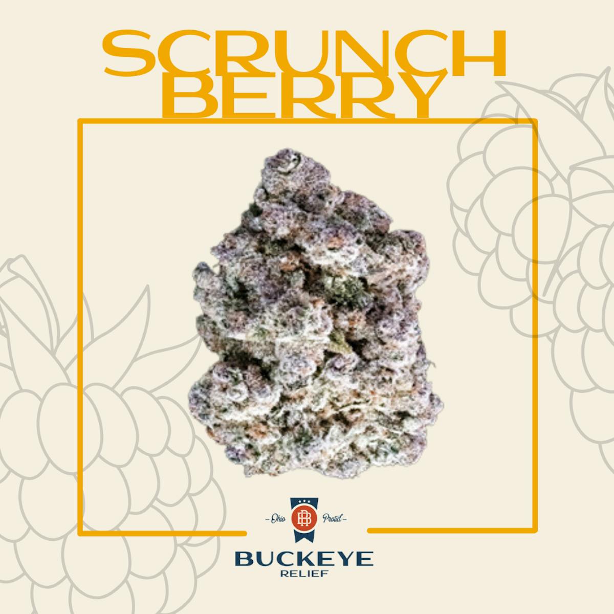 Photo of Scrunch Berry