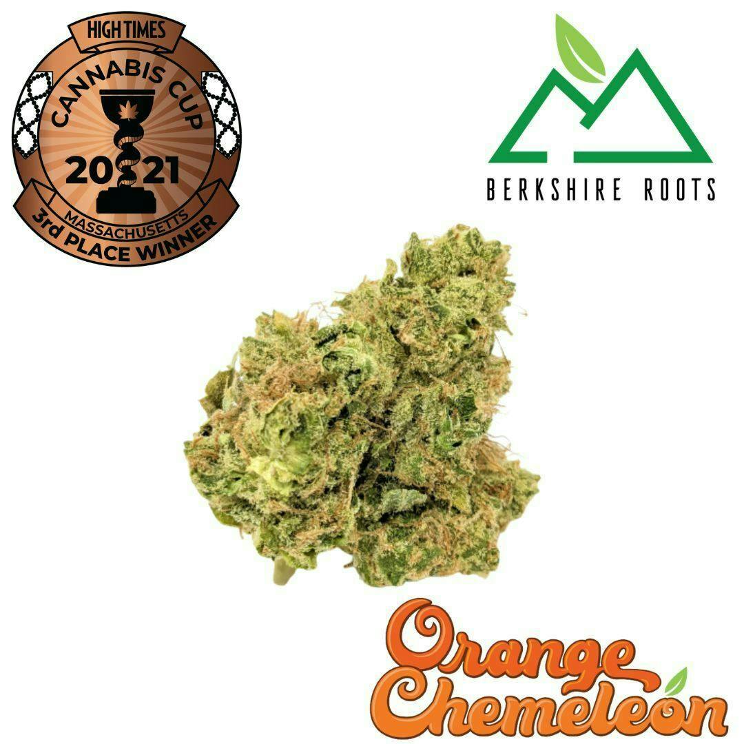 Product: Orange Chemeleon [3.5g]