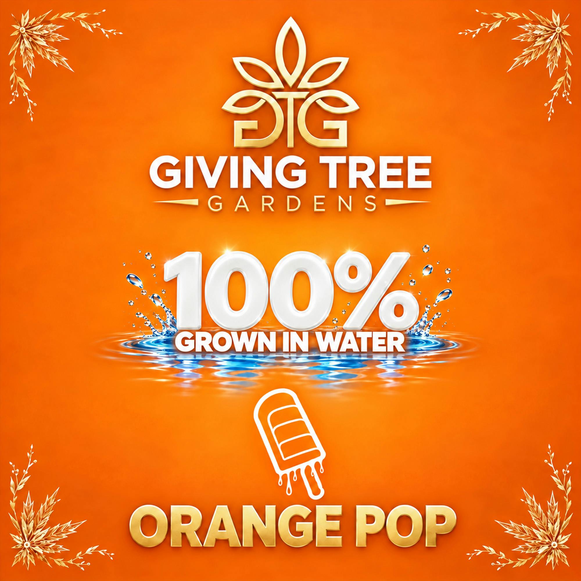 DELI - Giving Tree - Orange Pop