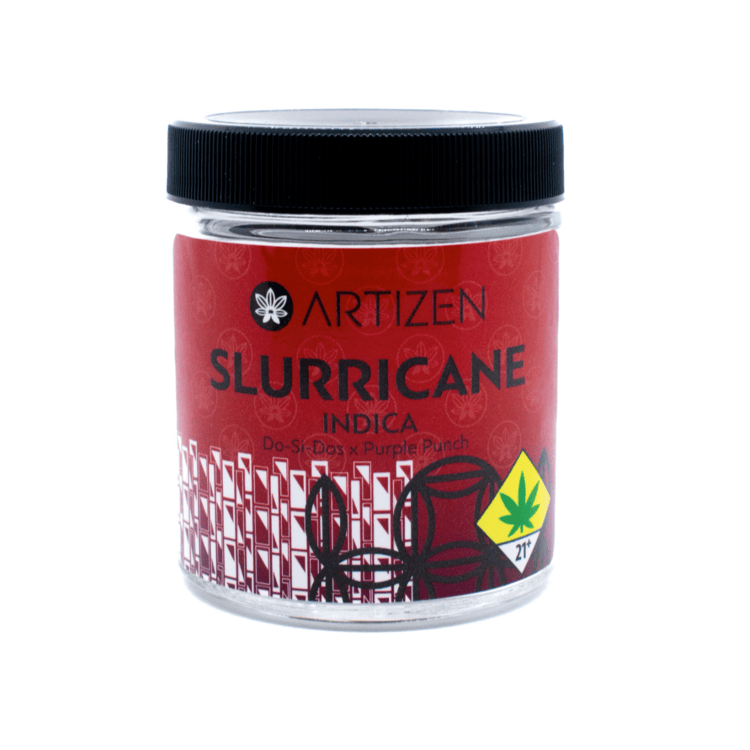 Artizen: Slurricane