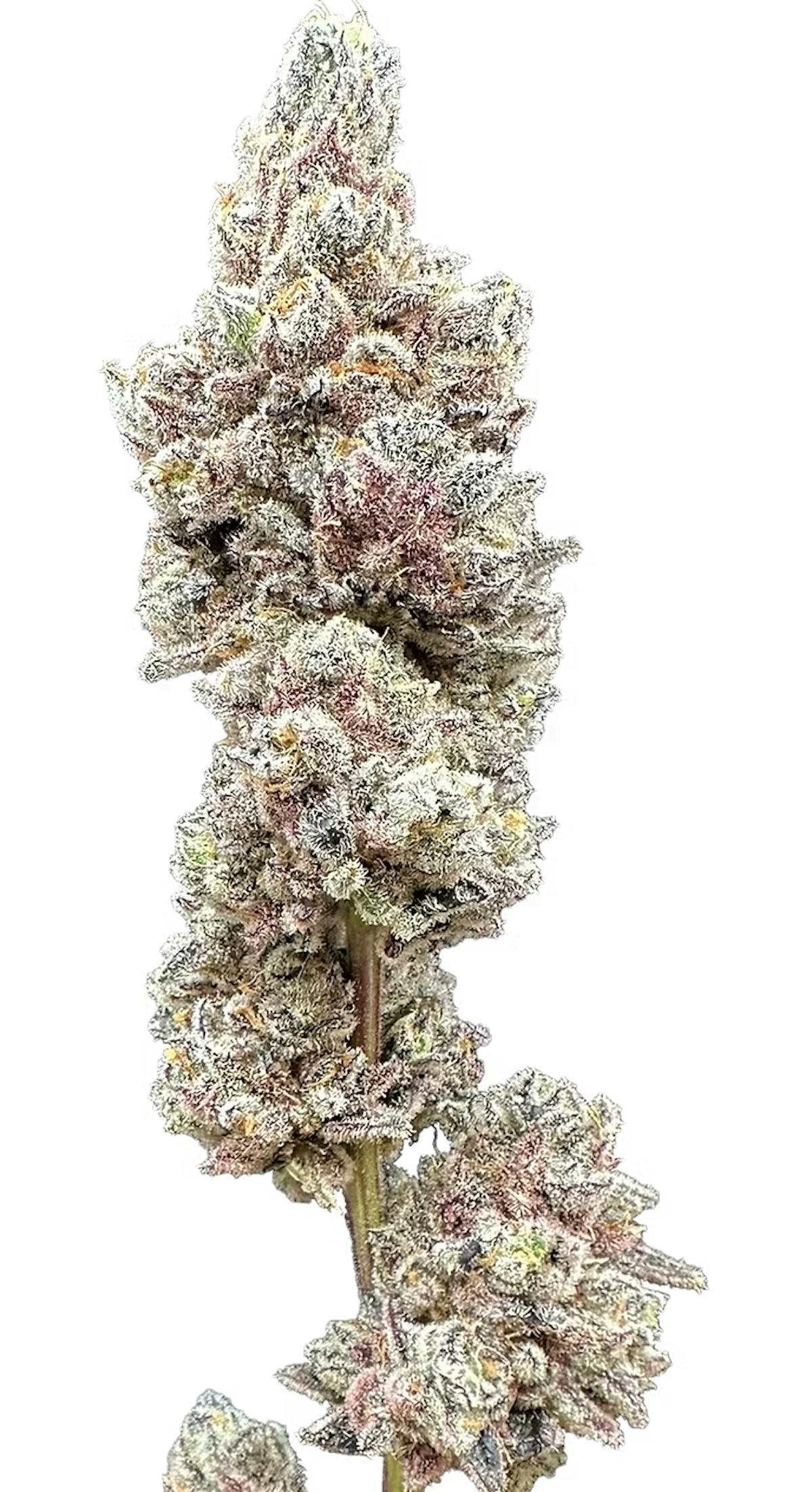 Photo of Dry Ice 3.5g Flower Trifecta Farms