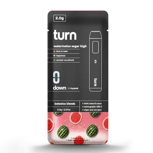 Watermelon Sugar High | Disposable | 2g-1