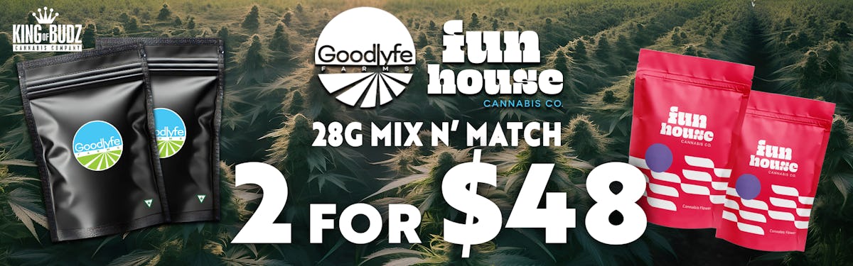 FUN HOUSE AND GOODLYFE  28g Pre Pack Flower - 2 for $48