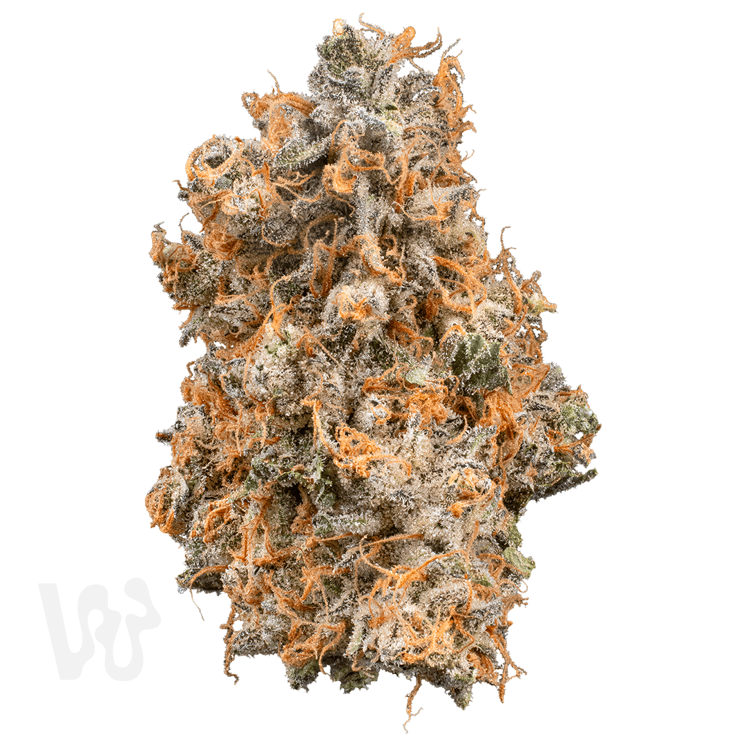 Grapehead | Italian Herbs