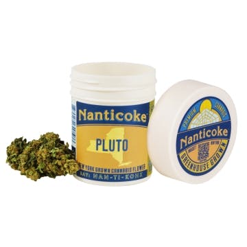 Pluto Indica | Nanticoke