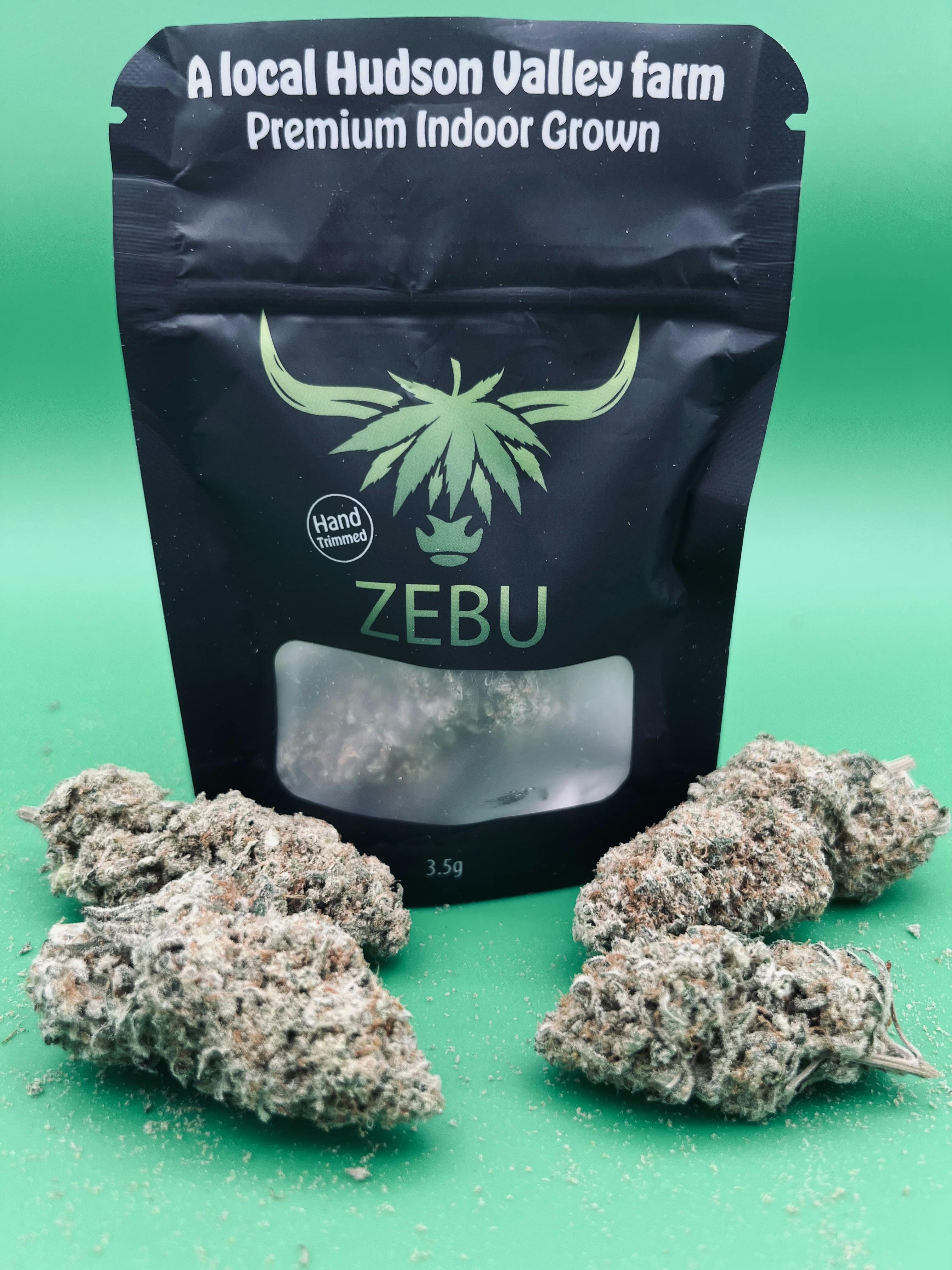 Zebu | Bob Hope | 3.5g
