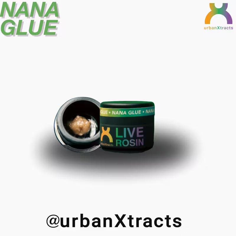 UrbanXtracts | Nana Glue | Live Rosin Cold Cure | 1g