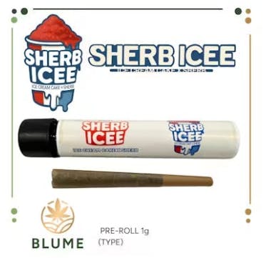 Blume - Sherb ICEE - 1g Preroll