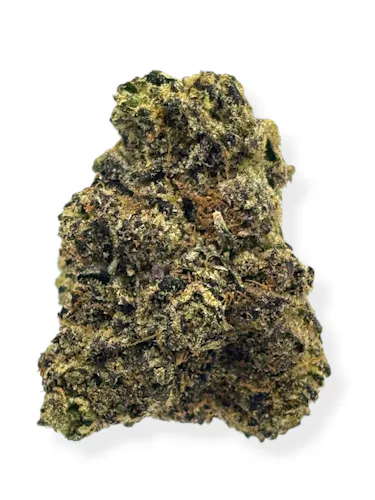 G High Joe – Ridgeline Lantz-active