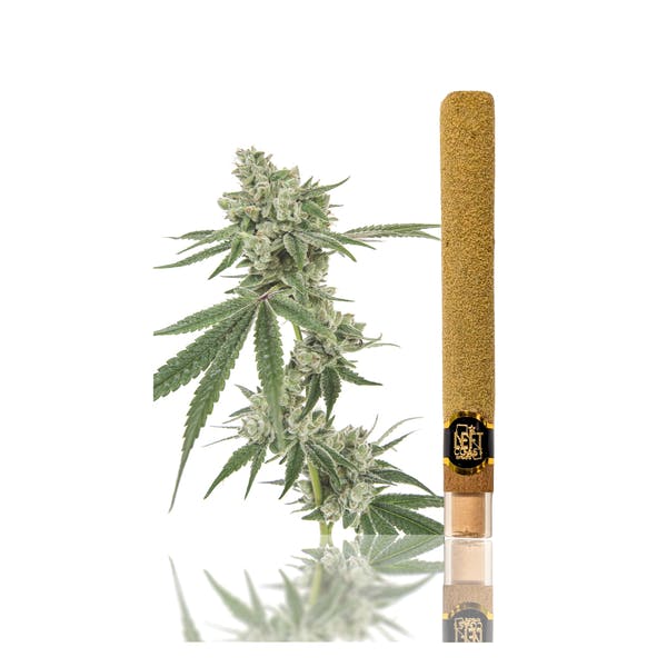 Left Coast | Maui Waui | Premium Infused Blunts