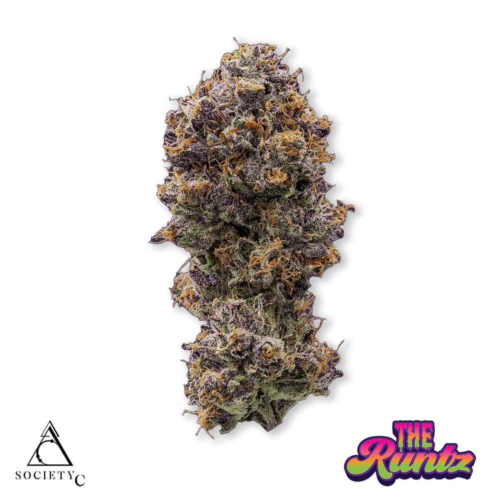 Society C SOCIETY C | THE RUNTZ HYBRID — FLOWER