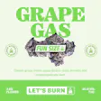 LET'S GRAPE GAS FUN SIZE BUDZ