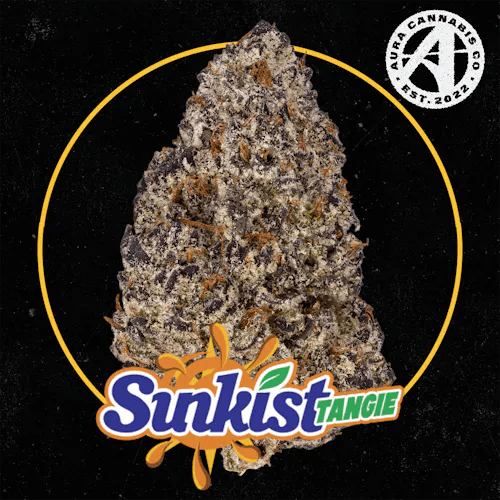 Product: Aura | Sunkist Tangie | Flower - 3.5g