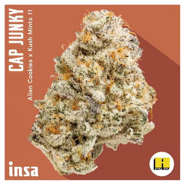 Cap Junky (IH) - 14g - INSA