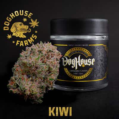 Product: Kiwi | Doghouse Supreme Cannabis