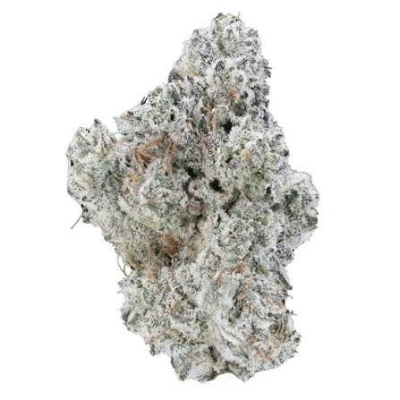 Bud & Mary's | Bulk Bud - Donny Burger