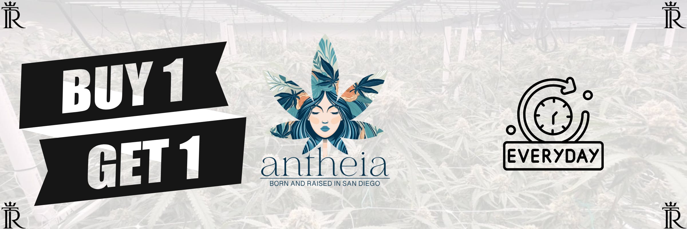 Antheia Cannabis BOGO La Mesa Sale